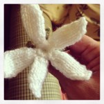 Knitted Jasmine Flowers