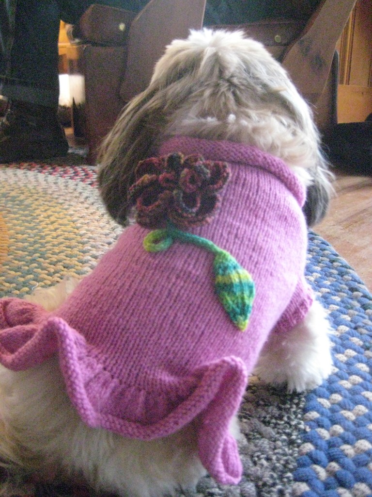 Senorita Lolita (Copyright 2011 Prima Dogma by Queen Bee Knits
