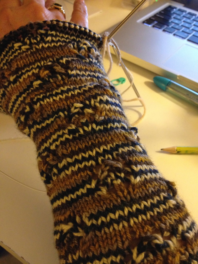 Lady Grantham Dinner Gauntlet (a Jimmy Beans Wool KAL) in Lorna's Laces Sport