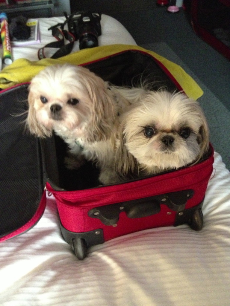 Please can we go home now?