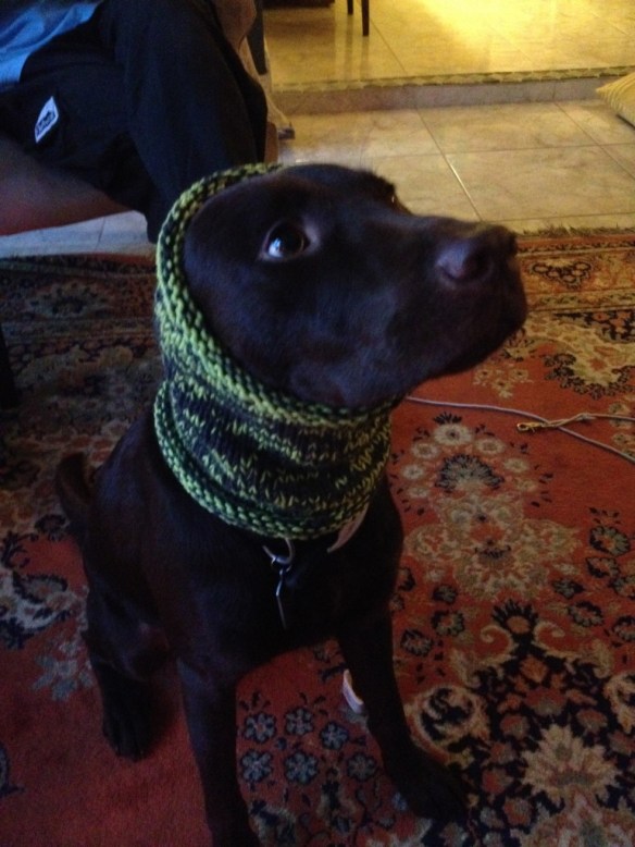 Monk models Willow's snood