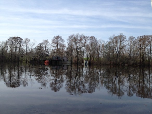 The Atchafalaya Swamp