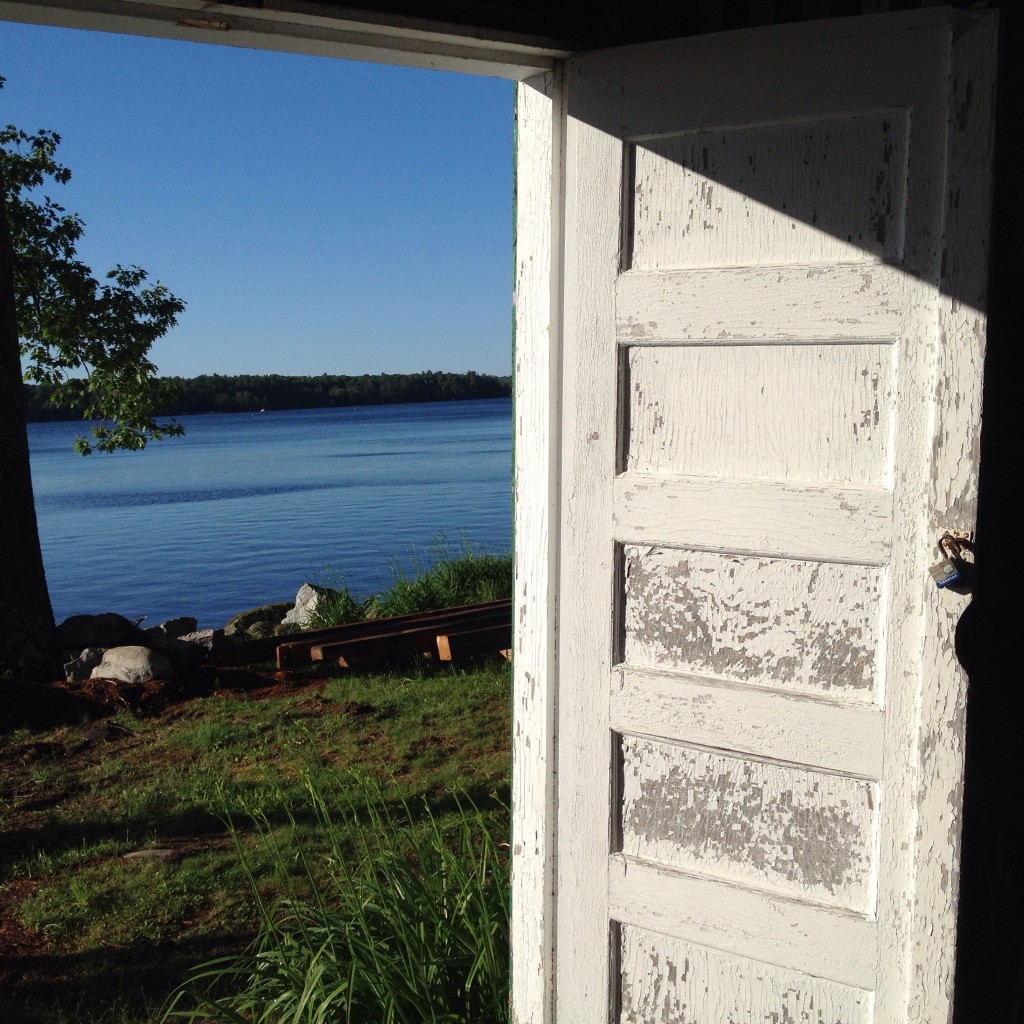 The View From Our Woodshed