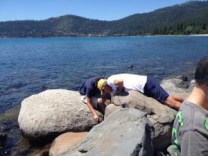 Catching Crawfish (we cooked and ate them, too!)