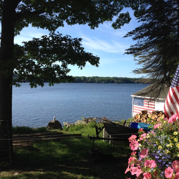 View of the lake from the guest cabin