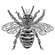 Bee 2