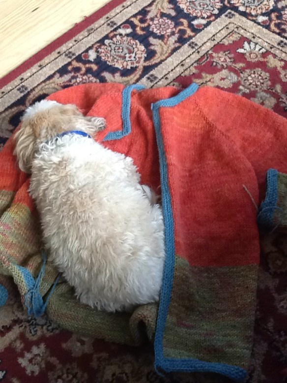 My intrepid assistant approves! It's a good place for a nap.