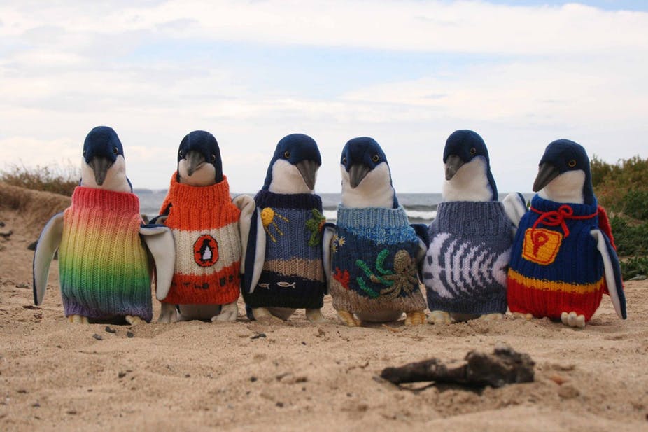 penguin sweaters